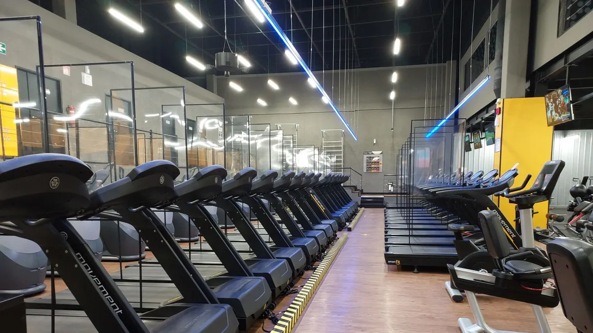 Row of treadmills and exercise machines in a well-lit modern gym setting.