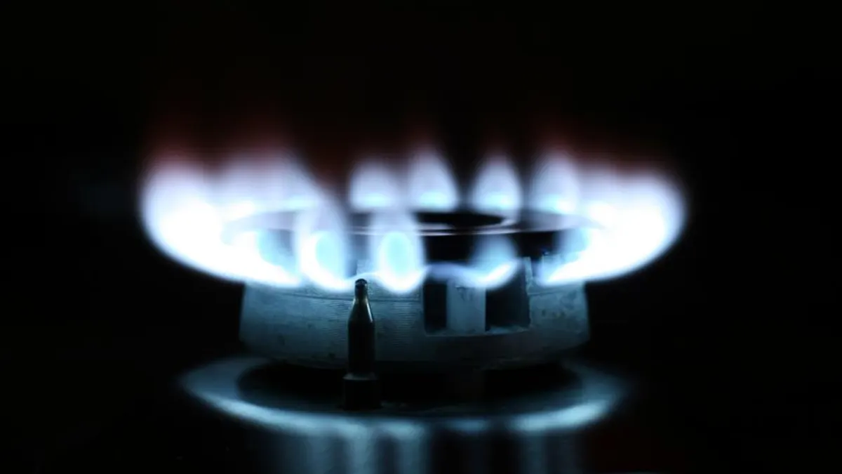 Gas Stove