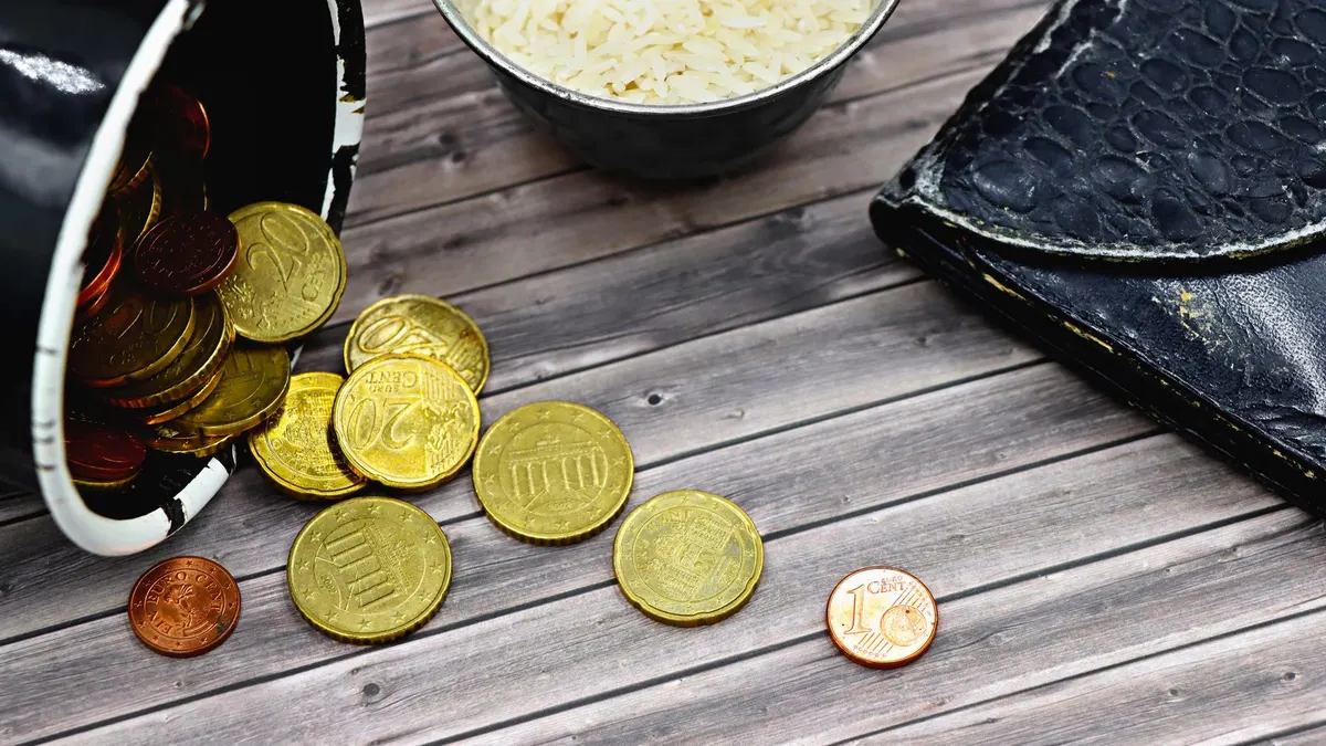A compelling image capturing coins, a worn-out wallet, and rice, symbolizing economic hardship.