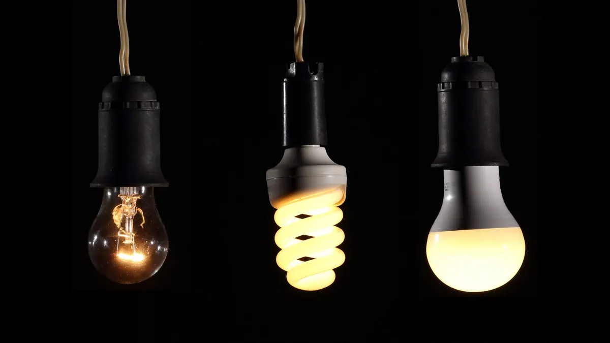 Close-up of incandescent, CFL, and LED bulbs, showcasing the evolution of lighting technology.