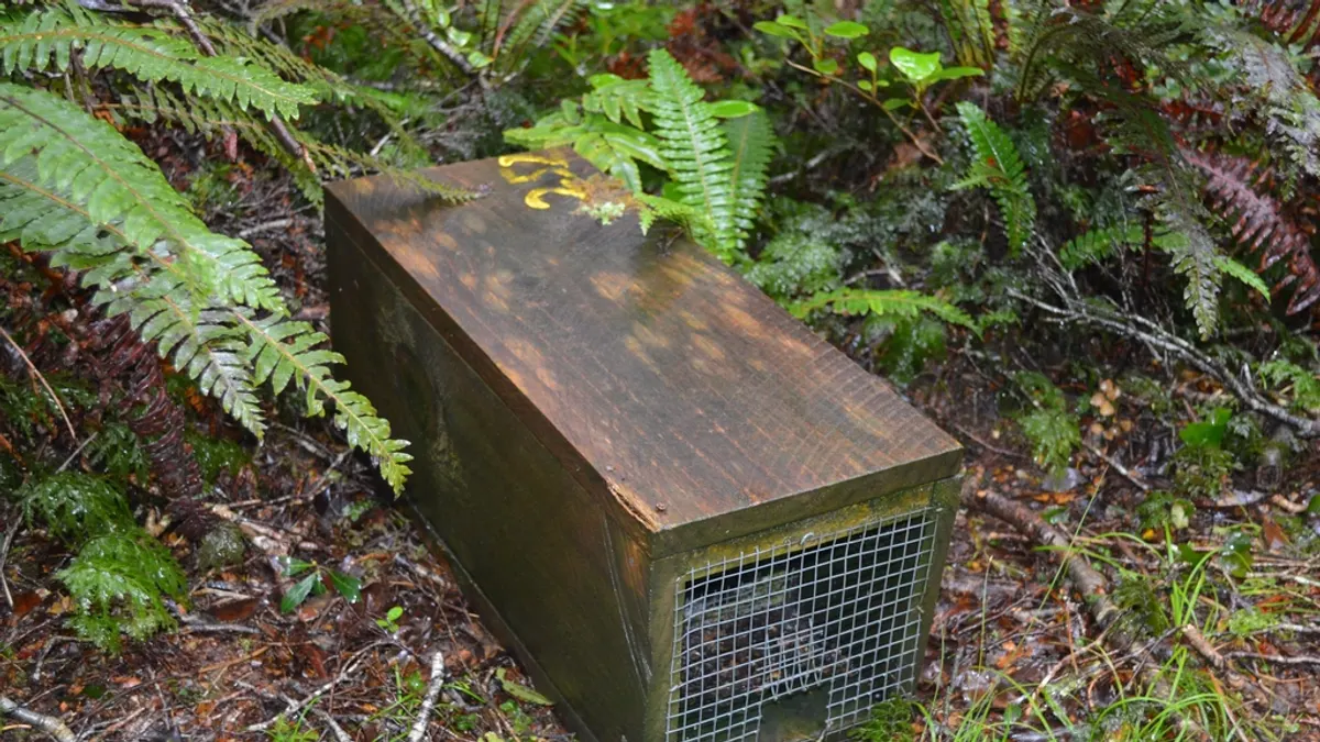 Pest trap, predator control, saving